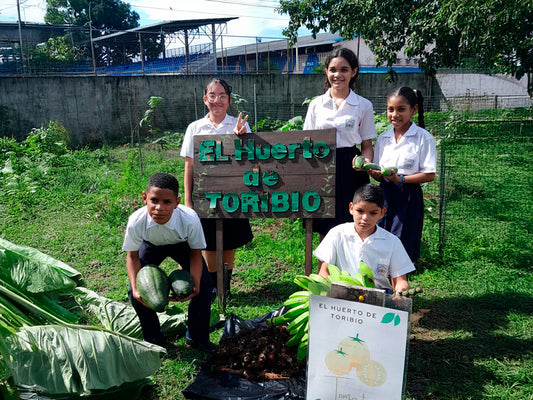 Voluntarios de Grupo Melo y la Escuela Toribio Berrío Sosa avanzan con éxito en el Proyecto Libertaria con una nueva cosecha